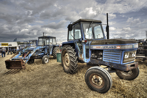Leyland Tractors Picture Board by Rob Hawkins