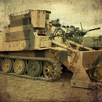 Buy canvas prints of Armoured Power by Rob Hawkins