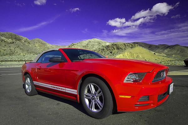 Mustang Coupe Picture Board by Rob Hawkins
