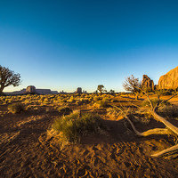 Buy canvas prints of Monument Valley branch by Rob Hawkins
