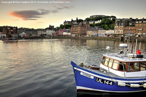 Dusk at Oban Harbour Picture Board by Rob Hawkins