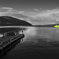 Buy canvas prints of  Nessie  by Rob Hawkins
