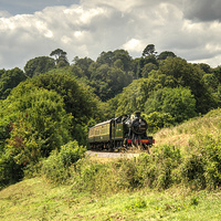 Buy canvas prints of  Great Western Green  by Rob Hawkins
