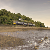 Buy canvas prints of  Teign Valley Pacer by Rob Hawkins