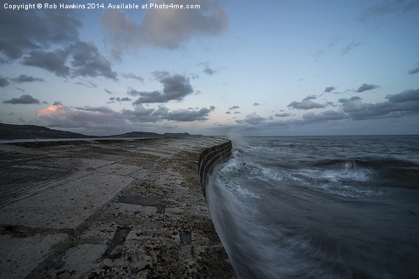  The Cobb at Lyme Regis  Picture Board by Rob Hawkins