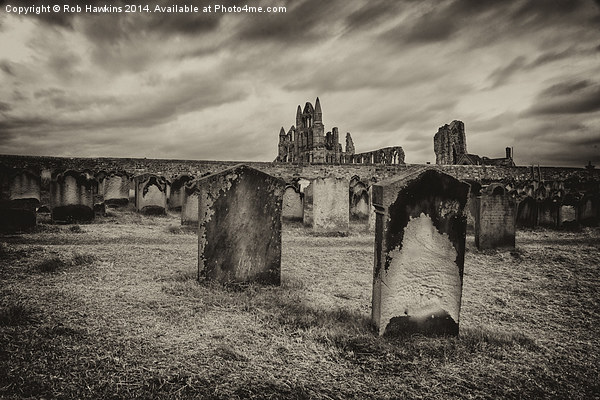  Whitby Abbey  Picture Board by Rob Hawkins