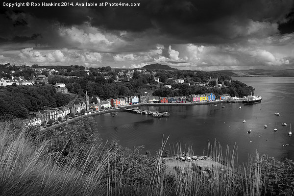  Colours of Tobermory  Picture Board by Rob Hawkins