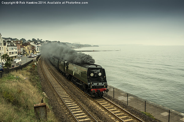  Tangmere at Dawlish  Picture Board by Rob Hawkins