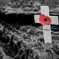 Buy canvas prints of  In Remembrance by Rob Hawkins