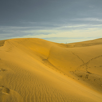 Buy canvas prints of  The Dunes  by Rob Hawkins
