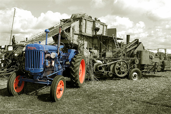 Fordson Threshing.! Picture Board by Rob Hawkins