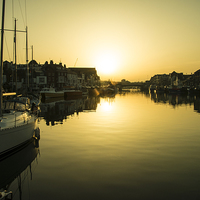 Buy canvas prints of  Weymouth Gold  by Rob Hawkins