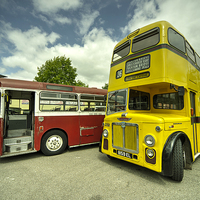 Buy canvas prints of  Red Bus Yellow Bus  by Rob Hawkins