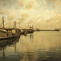 Buy canvas prints of  Newlyn Trawlers  by Rob Hawkins