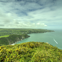 Buy canvas prints of  Combe Martin Panorama by Rob Hawkins