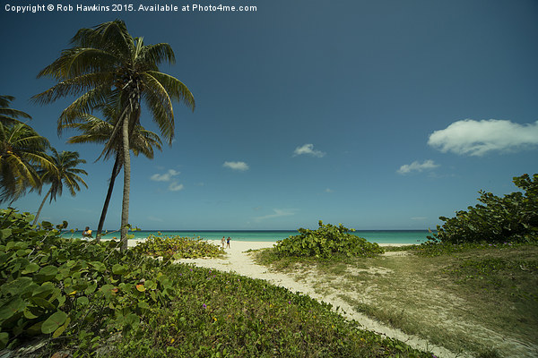 Varadero Paradise Picture Board by Rob Hawkins