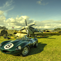 Buy canvas prints of  D type Jag  by Rob Hawkins