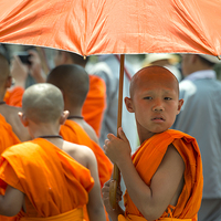 Buy canvas prints of  The Young Monk  by Rob Hawkins