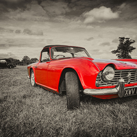 Buy canvas prints of  Red TR4  by Rob Hawkins