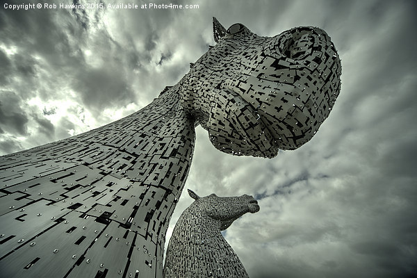  Kelpies  Picture Board by Rob Hawkins