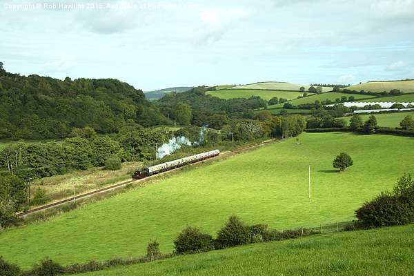  Dart Valley Steam  Picture Board by Rob Hawkins