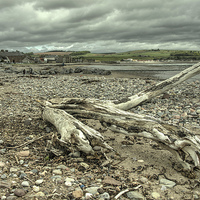 Buy canvas prints of  Stonehaven Driftwood by Rob Hawkins