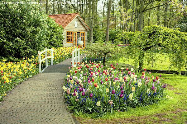  Tulip Cottage  Picture Board by Rob Hawkins