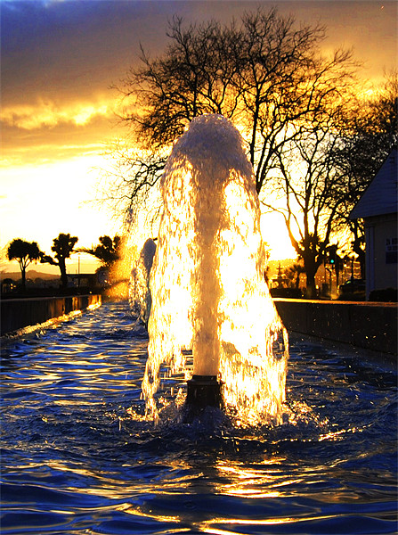 Fountain at sundown Picture Board by Rob Hawkins