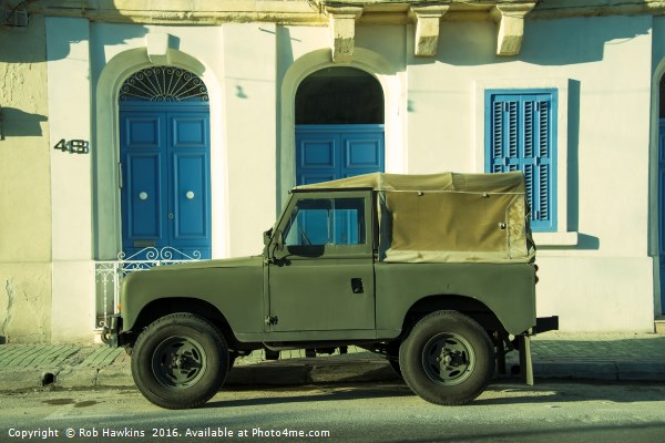 Maltese Landy  Picture Board by Rob Hawkins
