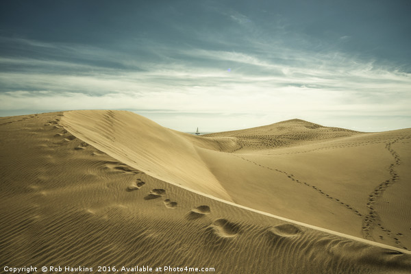 The Sand Dunes of Maspalomas  Picture Board by Rob Hawkins