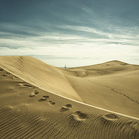 Buy canvas prints of The Sand Dunes of Maspalomas  by Rob Hawkins