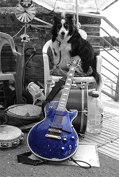 I'll bark u play..! Picture Board by Rob Hawkins