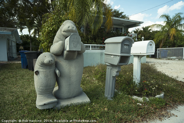 Manatee Mailbox  Picture Board by Rob Hawkins