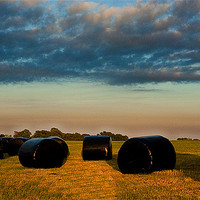 Buy canvas prints of Round Bales by Rob Hawkins