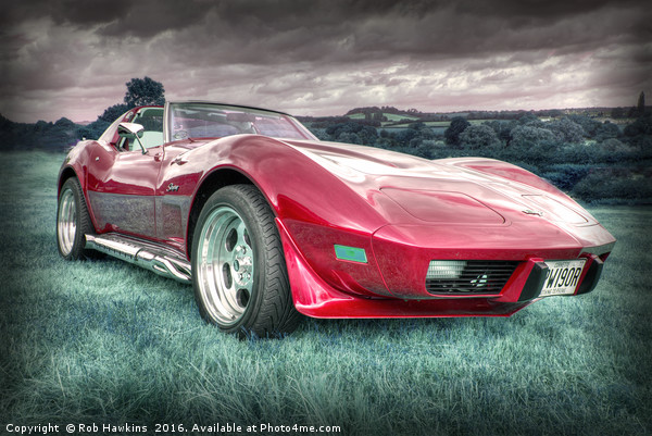 Red Stingray  Picture Board by Rob Hawkins