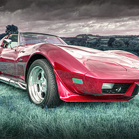 Buy canvas prints of Red Stingray  by Rob Hawkins