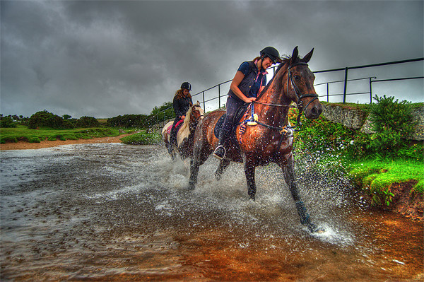 Water Horses HDR Picture Board by Rob Hawkins