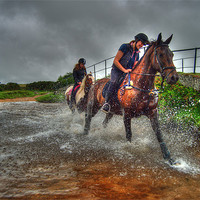 Buy canvas prints of Water Horses HDR by Rob Hawkins