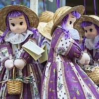 Buy canvas prints of Lavender Dollies  by Rob Hawkins