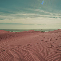 Buy canvas prints of Pink dunes of Maspalomas  by Rob Hawkins