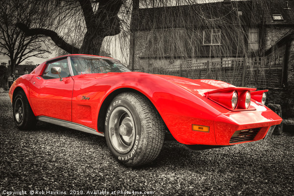 Little Red Stingray Picture Board by Rob Hawkins