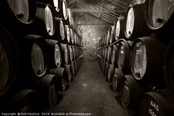 Barrels of Porto  Picture Board by Rob Hawkins