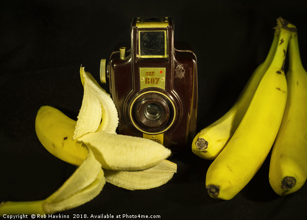 Bilora Blitz Boy and Bananas Picture Board by Rob Hawkins