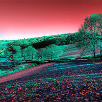 Buy canvas prints of Exmoor in the Pink by Rob Hawkins