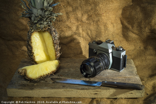 Praktica and Pineapple  Picture Board by Rob Hawkins