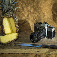 Buy canvas prints of Praktica and Pineapple  by Rob Hawkins