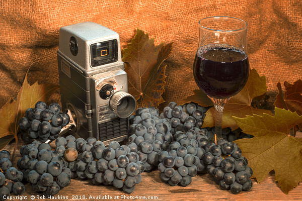 Bell and Howell with Black Grapes Picture Board by Rob Hawkins