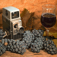 Buy canvas prints of Bell and Howell with Black Grapes by Rob Hawkins