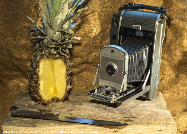 Polaroid and Pineapple  Picture Board by Rob Hawkins