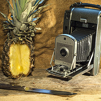Buy canvas prints of Polaroid and Pineapple  by Rob Hawkins